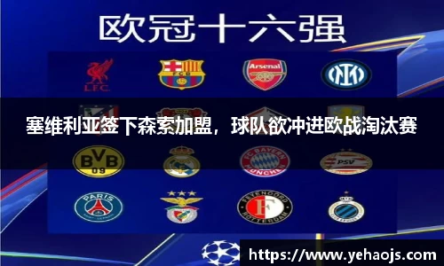 完美体育365平台官网