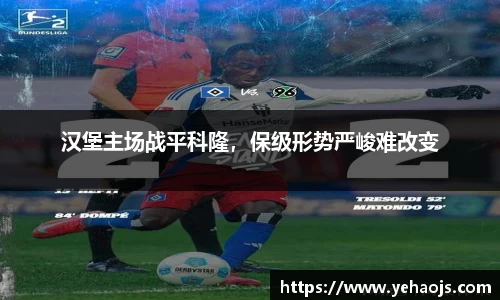 完美体育365平台官网