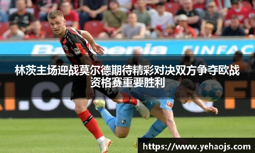 完美体育365平台官网