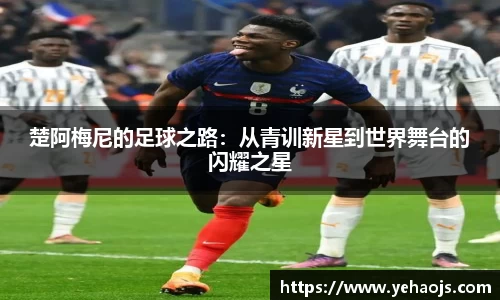 完美体育官方网站