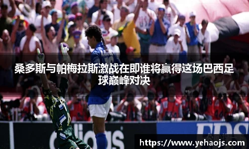 完美体育官方网站