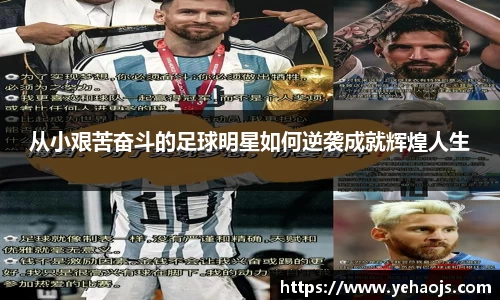 完美体育365平台官网