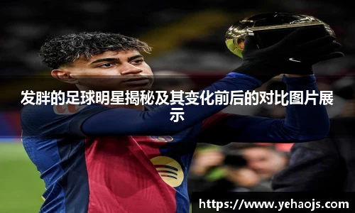 完美体育365平台官网