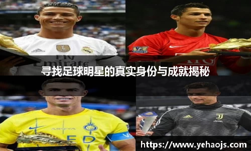 完美体育365平台官网