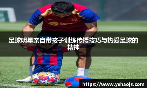 完美体育365平台官网